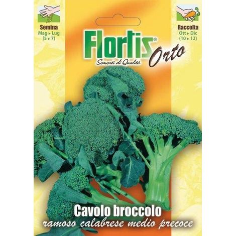 CAVOLO BROCCOLO RAMOSO