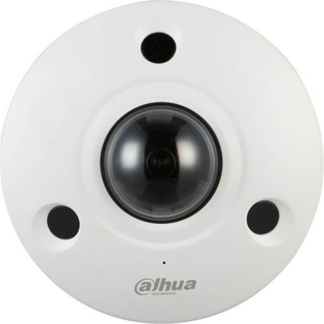 Caméra Fisheye IP 12 MP IR 10M IP67 IK10