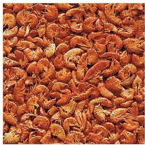 Gammarus, Aliment Naturel pour Aquariophilie 100 g Pour tortues d'eau - animallparadise