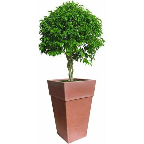 Vase pour fleurs - H 87.5 cm - Marron clair - Livraison gratuite (1/3)