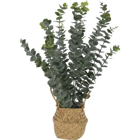 Künstliche Eukalyptuspflanze im Korb, 50 cm (1/5)
