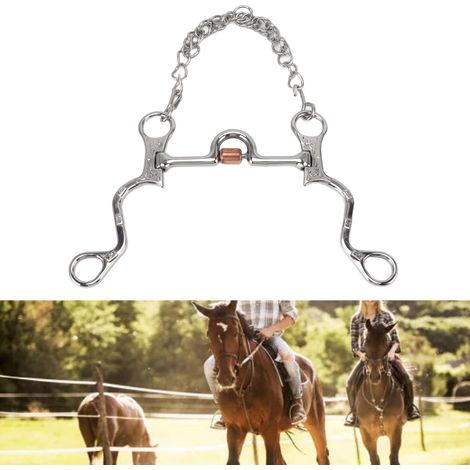 [Freno de bocado] [Sin marca] [Bocado de bocado de caballo de 120 mm] [Cadena de acero inoxidable] para entrenamiento de equitación (1/5)