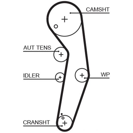 Kit de courroie crantée Gates K025569XS AUDI