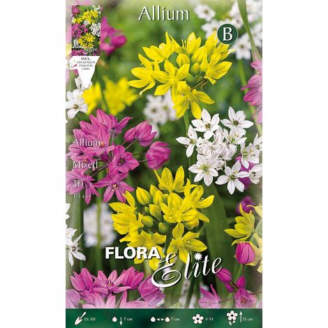 BULBI ALLIUM MIX (CONFEZIONE DA 30 BULBI)