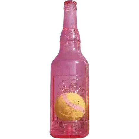 Interaktives Kauspielzeug mit Wasserflasche, Tennisball und Quietschfunktion für Hunde – ideal für aggressive Kauer und zur Linderung von Angstzuständen.