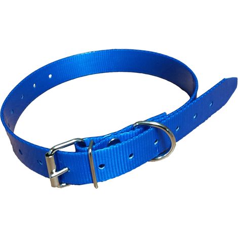 Collar para perro