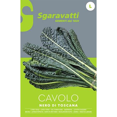 Semi per Ortaggi e Vegetali Cavolo Sgaravatti Nero di Toscana 20 Pezzi (1/2)