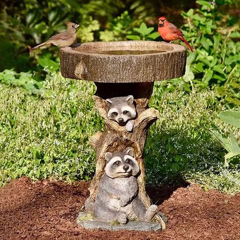 Vogelbad für den Außenbereich, Gartenbrunnen auf Harzsockel mit Pflanzgefäß und Futterspender, Gartendekoration, ideales Geschenk für draußen (Waschbär) (1/4)