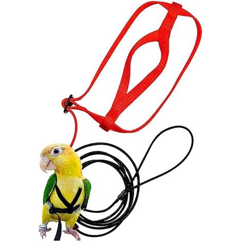 Harnais et longe réglables pour oiseaux - Équipement d'entraînement - Pour amazones à nuque jaune, cacatoès rosalbin, perroquets petits à moyens - Convient aux oiseaux avec tour de poitrine jusqu'à 62 (1/5)