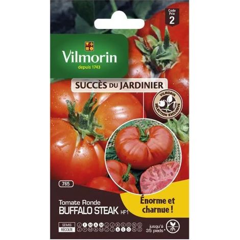 Semillas vilmorin buffalo steak hf1 alto rendimiento resistente enfermedad