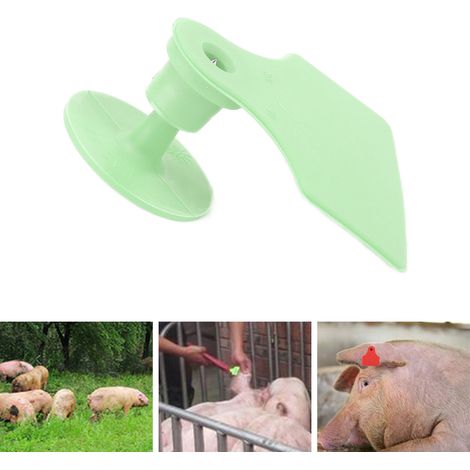 100 Lose/Verkauf von speziellen Ohrmarken für Nutztiere, leere Anti-Fall-Ohrmarken für Sauen, hellgrün. (1/5)