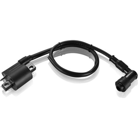 Bobine d'allumage Remplacement pour moto tout-terrain (1/4)