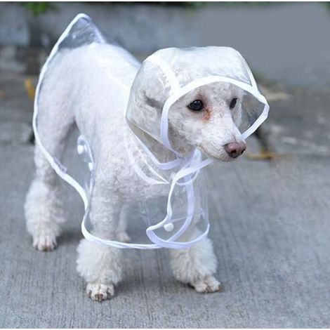 Vêtements de pluie transparents pour animaux de compagnie, imperméables pour chiots et chiens, 1 pièce (L) (1/3)