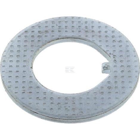 Rondella 32,1X60,5X3 AL-KO SL003129310 (1/2)
