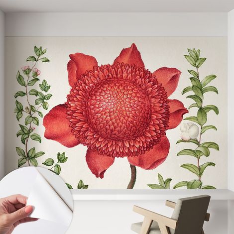 Fotomurale adesivo stickers - murali decorativo - soggiorno moderno - effetto realistico - Eleganza floreale 152x104 cm (1/5)
