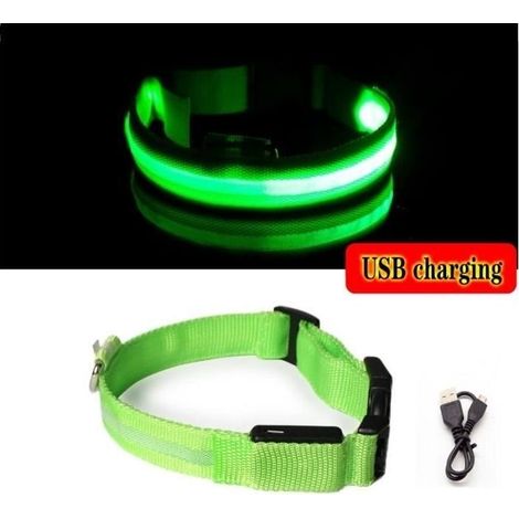 (Green USB charging M)Clamp bright Led Anti-loss for dog, accessory of night for chiot, charger USB, battery (1/4)