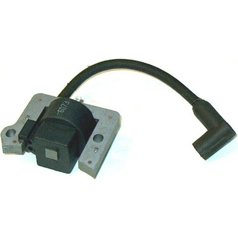 Accensione elettronica motore Honda 140, 160 OHV compatibile