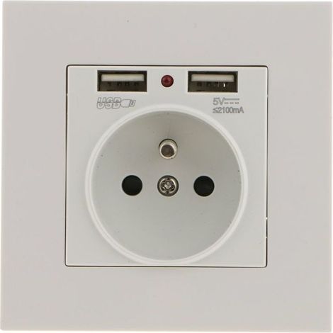 UlisemPrise Murale, Prise Electrique Murale avec Double USB 5V/2100mA, Prise Encastrable avec 2 Ports de USB Pratique et Manialble (1/4)