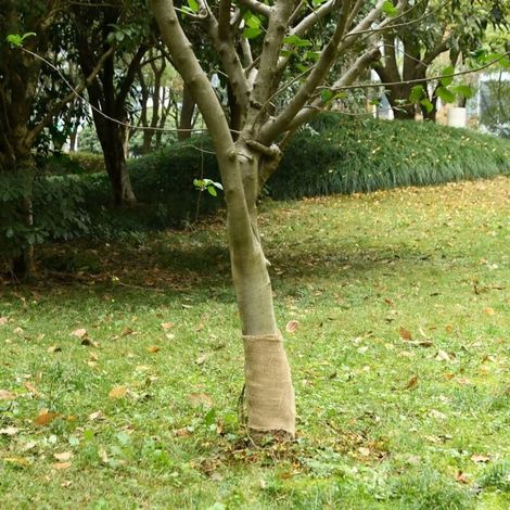 Rollo de yute natural de 0,25 x 100 m – 100 % fibras vegetales, 200 g/m², ideal para decoración de interiores y manualidades.