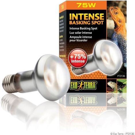 INTENSE BASKING SPOT AMPOULE 75 W EXO TERRA PT2136A1 (1/5)