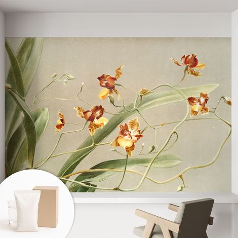 Carta Da Parati Non Tessuto - Con Colla Gratuita - Con Motivi Moderni - Design Elegante Per Pareti Orchidee classiche 152x104 cm (1/5)