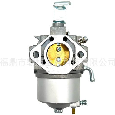 Briggs & Stratton Vergaser kompatibel mit 715668 715443 715121 Heckenschere Gartengeräte Rasenmäher Kettensäge (1/5)
