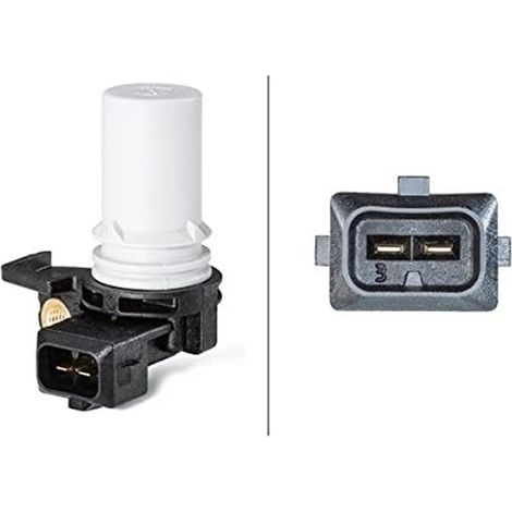 Private Label-HELLA 6Pu 009 163-501 Capteur D'Angle, Vilebrequin - 12V - 2Pôle - Du Côté Du Volant Moteur - Sans Câble