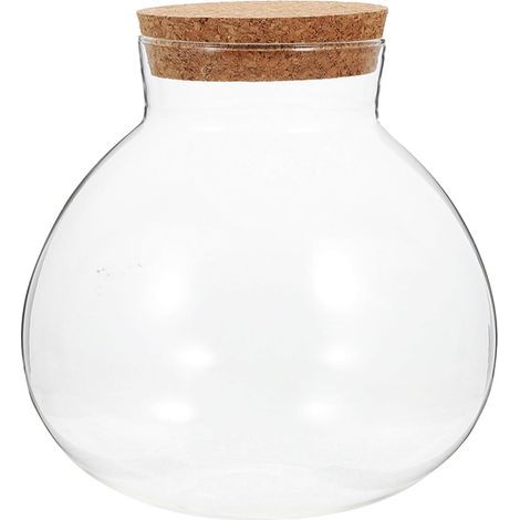 Glasgefäß Terrarium Sukkulenten Pflanzenflasche mit (1/5)