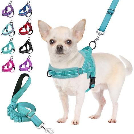 Harnais anti-traction réglable, réfléchissant, sécurité anti-étouffement, pour chiens de petite et moyenne taille et chiots (1/5)