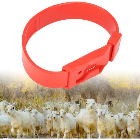 10 colliers de cou pour moutons à vendre, 36 cm rouges, avec étiquettes colorées, pattes et embouts en caoutchouc. (1/5)