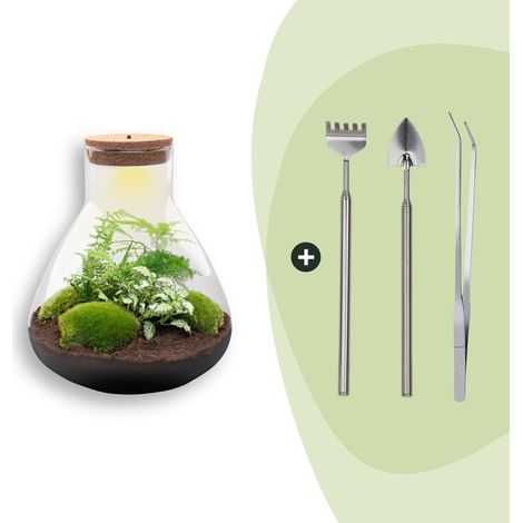 Terrarium Plante DIY avec Éclairage LED - Kit Écosystème Autonome Sam XL - Ø 30 x 35 cm - PANGIVO