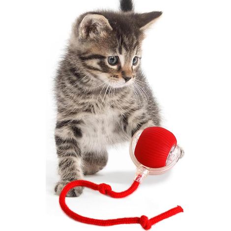 Balle de jouet interactive pour chat – speelgoed d'intérieur pour chat – Jouets pour chat adulte – Balle de jouet intelligente pour chat avec lumière LED – Balle intelligente pour animal de compagnie (1/5)
