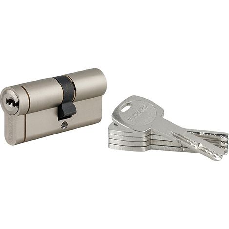 Cilindro europeo Transit 1 30 x 40 mm, nichelato, funzione emergenza, 5 chiavi – THIRARD (1/5)