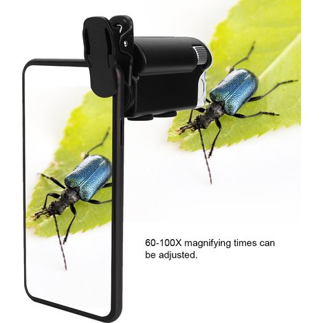 Microscope portable à clip LED 60-100X loupe grossissante pour observation (1/5)