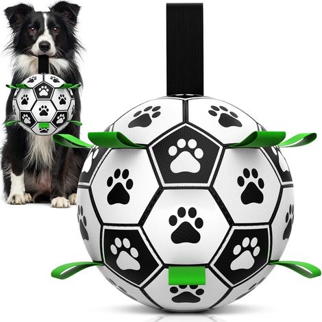 Hundeball avec Seil Interaktiv Springend Schwimmend 6 Zoll (1/5)