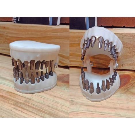 Denture Drill Bit Holder Organisateur Dents Résine Modèle Tournevis Bit Case Decor-White