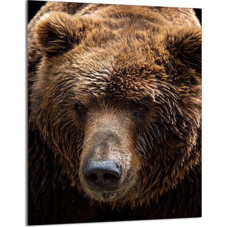 Tabla de cortar de vidrio 40x52 Oso de peluche (1/5)