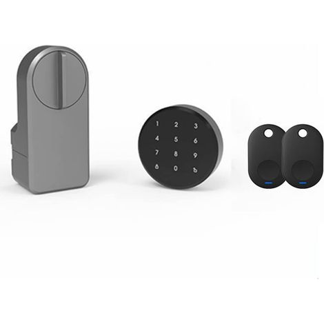 Serrure de porte intelligente Serrure de porte intelligente Mot de passe numérique Compatible avec Bluetooth Installation d'autocollants intelligents Serrure de porte électronique intelligente Tuya ( (1/5)