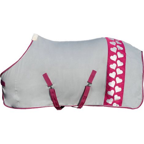 165 cm, Fuchsia und Silber 3971: Anti-Pilling-Fleecedecke Modell Sweet Valentine (1/2)
