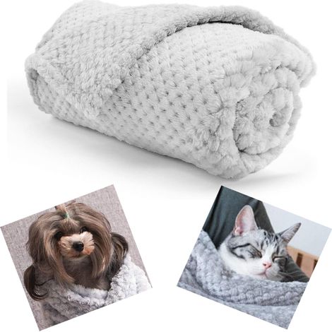 Couverture pour Chien Coussin Chien Couverture Polaire Chien Coussin Chat Chaude et Douce en Polaire Moelleuse (Gris Clair，60x80CM) (1/5)