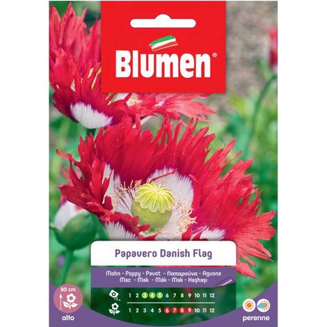 SEMI PAPAVERO DANISH FLAG BLUMEN