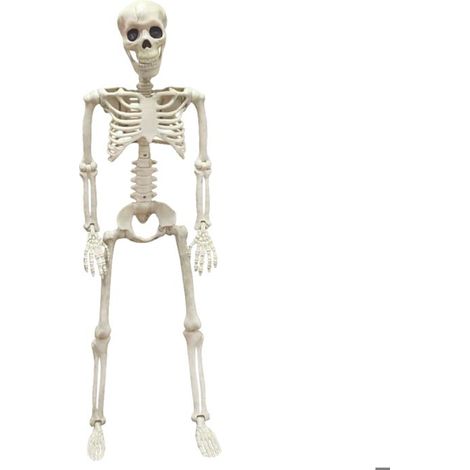 Accessoires de squelette - Halloween - Squelette en plastique - 90 cm - 70 cm - Articulations mobiles (1/5)
