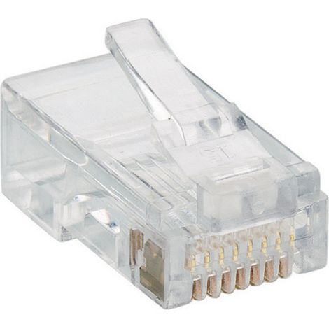 Fiche modulaire mâle Lumberg P 129 RJ45 mâle, droit RJ45 Pôle: 8p8c transparent 1 pc(s)