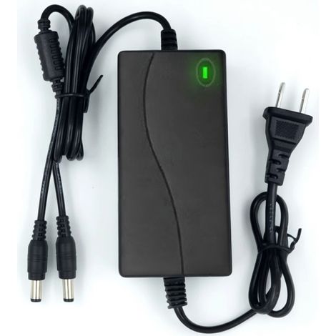 Cargador rápido universal para batería de litio 21-128 V (2 puertos, 2 A)