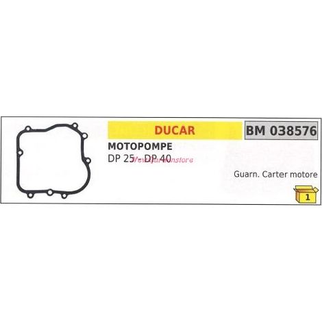 Kurbelgehäusedichtung DUCAR Motorpumpe DP 25 40 038576