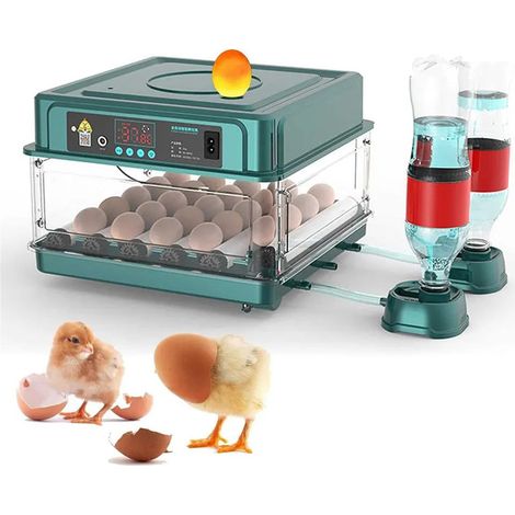 Incubateur entièrement automatique à température constante et réversible, avec tiroir de remplissage d'eau automatique, pouvant accueillir 12 types d'œufs. (1/5)