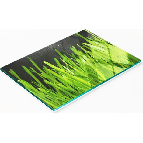Planche décorative multifonctionnelle pour cuisine en verre trempé, motif herbe, 80 x 52 cm (1/5)