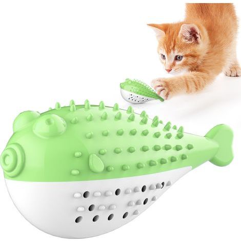 Fournitures pour animaux de compagnie, jouets à mâcher sonores, herbe-aux-chats, poisson-globe, jouets de dentition pour chat （vert） (1/5)