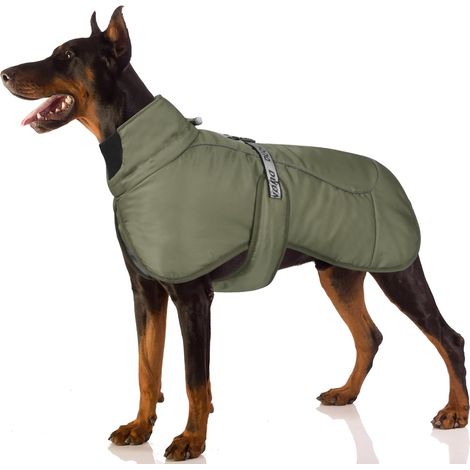 1 Manteau Chien, Tissu Polyester Twill, Col Réglable, Boucle Sécurité, Bandes Réfléchissantes, Pour Chiens Moyens Grands (1/5)