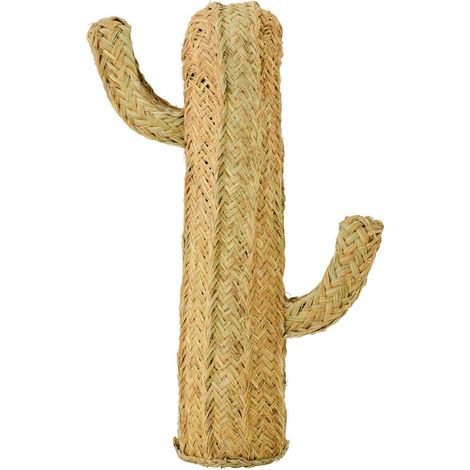 Cactus Déco Herbe "Afrique" 70cm Naturel (1/4)